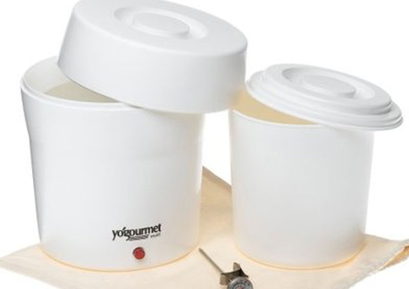 Yogourmet multi shop yogurt maker